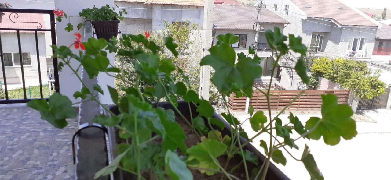 Năvodari Sunshine Apartments מראה חיצוני תמונה