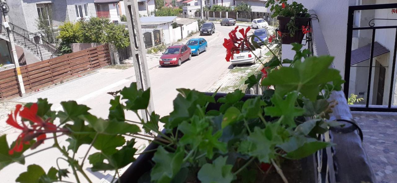 Năvodari Sunshine Apartments מראה חיצוני תמונה