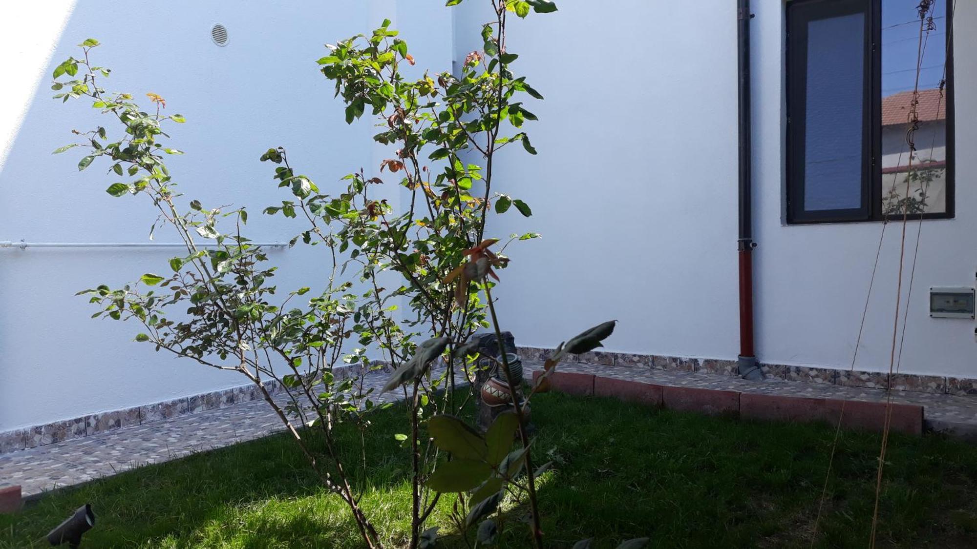 Năvodari Sunshine Apartments מראה חיצוני תמונה